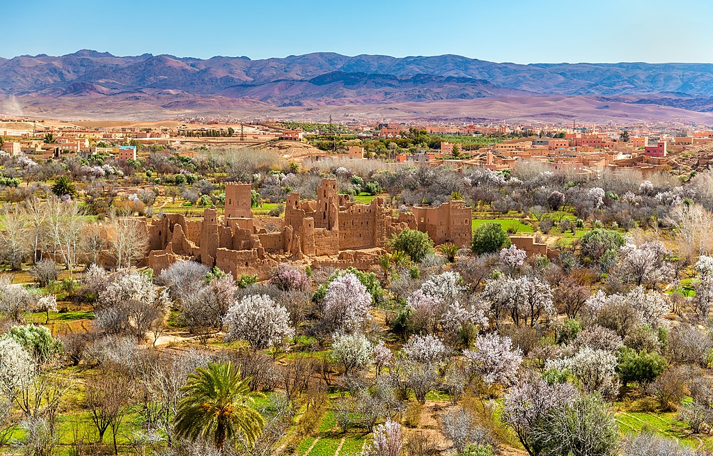 Traditional kasbah structures on a desert trail in Morocco.